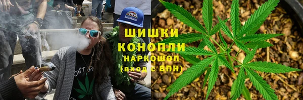 СК Зеленокумск